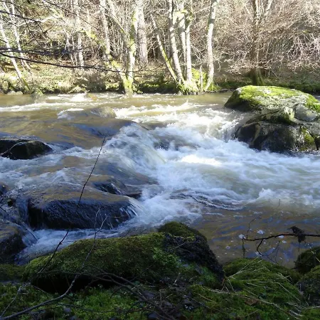 Moulin Dans Les Bois * Saint-Georges-Lagricol